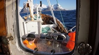 Breisund  Lofoten torskefiske utenfor Hamnøy [upl. by Gizela]