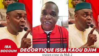 Iba bocoum décortique issa kaou djim [upl. by Figueroa]