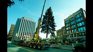 Monument Square Christmas Tree Arrives [upl. by Cockburn769]