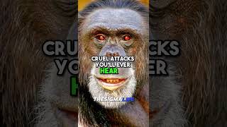 The Most HORRIFYING Chimpanzee ATTACK Story Ever  JRE jre joerogan animalshorts [upl. by Nahguav]