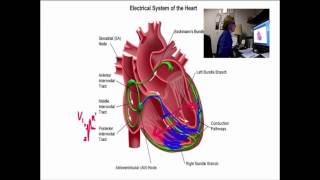 How to Recognize Right Bundle Branch Block [upl. by Cooke242]