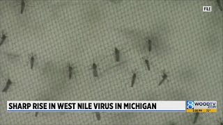 2nd case of West Nile virus confirmed this time in West Michigan [upl. by Ailahk486]