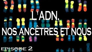 2  LADN nos ancêtres et nous [upl. by Taryne]