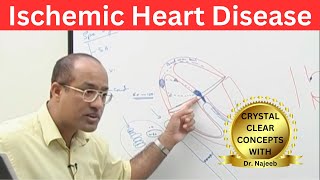 Ischemic Heart Disease  Myocardial Infarction  Cardiology🫀 [upl. by Labanna]