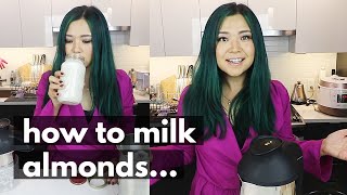 How to Make DairyFree Milks at HOME 4 Different PlantBased Milk Options [upl. by Violante125]