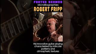 Robert Fripp  guitar in the 5th dimension [upl. by Ocin792]