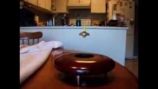 Magnetic Levitation Fun With Magnets [upl. by Draper]