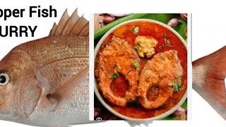 Masala Fish Curry India Fiji Style fishcurry fish yummy funny [upl. by Adriel]