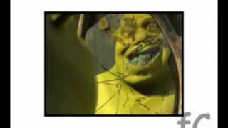 ♫ Shrek  Im a believer ♫ [upl. by Standley86]