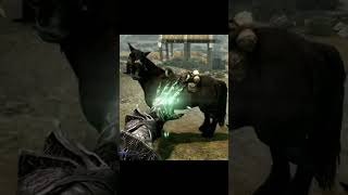 Level Up Illusion Fast in Skyrim Master the Magic from 1100 ✨ [upl. by Orest]