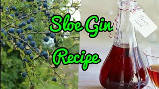 Sloe Gin how to make Simple Homemade Recipe [upl. by Liam]