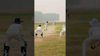 Top Slip Catches in Domestic Cricket  Best Slip Catches [upl. by Anovahs321]