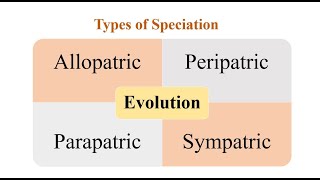 Types of Speciation [upl. by Ahsikel269]