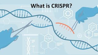 CRISPR Cas9 Explained [upl. by Neved]