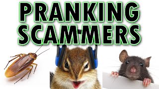 Pranking Scammers ft Mark Rober [upl. by Enelez]