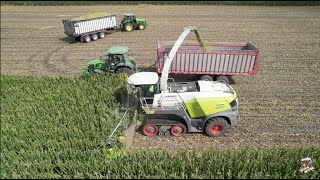 Chopping Corn Silage at Windy Ridge Dairy in Northwestern Indiana [upl. by Squires]