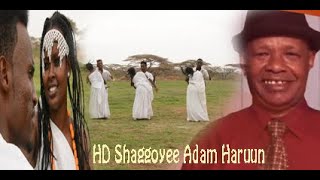 New Aadam Haruun Shaggoye 2020 HD [upl. by Laehctim]