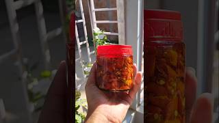 Ghost chili pickle  bhut jolokia achar🥵ytshortsshorts ghostchili [upl. by Mima]