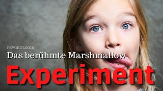 Psychologie Misst der MarshmallowTest wirklich Selbstkontrolle [upl. by Denice770]