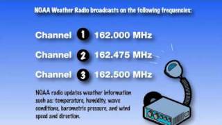 Check Local Weather Conditions 31 [upl. by Ennairac884]