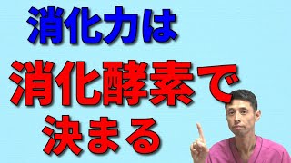 【消化酵素が決め手】食べたものを身体の栄養に変える消化力の重要性！おすすめの消化酵素サプリもご紹介 [upl. by Ettesil]