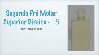 Segundo Pré Molar Superior Direito  15 [upl. by Lancelot]