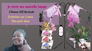 Lampe horticole quot Evolution sur 1 mois quot Mon petit bilan [upl. by Arriec41]