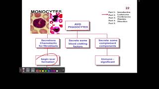 CH14 7 Leukocytes Monocytes [upl. by Durstin401]