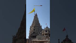 कृष्णं सदा सहायते ❤️🦚🪈dwarkadhishdwarkadhish holi dwarkadhishtemple dwarkadelhi dwa viral [upl. by Guidotti824]