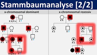 Stammbaumanalyse 22  gonosomal dominante und rezessive Erbgänge Biologie Genetik Oberstufe [upl. by Oflodor]