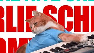 Keyboard Cat meme art show Please join [upl. by Arimas736]