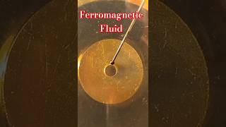 art of ferromagnetic fluid scienceprojectwork scienceprojectideas howtomake physics science [upl. by Anirahs]