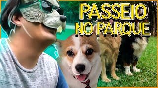 PRIMEIRO PASSEIO DO TAMTAM NO PARQUE 🦊 [upl. by Elleina]