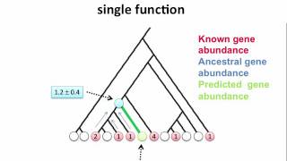 Analysis of Metagenomic Data Introduction to PICRUSt [upl. by Allicirp543]