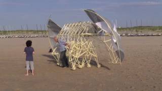 Theo Jansen on the beach A Strandbeest session [upl. by Fadiman]