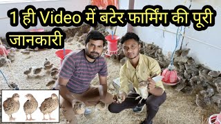 बटेर फार्मिंग की A to Z पूरी जानकारी सिर्फ एक ही वीडियो में  Bater farming in india  Quail farming [upl. by Inafets694]