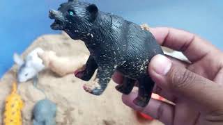 Unbelievable Footage Rat Bear African elephant Rabbit amp Labrador Dry Mudquot [upl. by Giule]