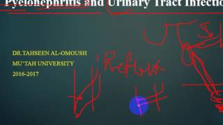 Pathology  dr Tahseen  Pyelonephritis  Acute amp chronic  Nephrosclerosis باثولوجي [upl. by Orren618]