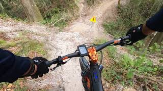 Rollercoaster wall hard options Alafia MTB Trails [upl. by Bolan]