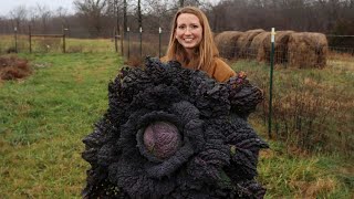 WINTER Harvesting and Garden Prep in January [upl. by Karel441]