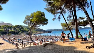 Paguera 💜 Mallorca 🇪🇸 Rundgang Vormittag 💜 Boulevard ☀️ Palmira 🌴 Tora und Seitenstraßen 🏖😎 [upl. by Anniala]