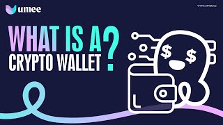 What is a Crypto Wallet︱Easy Animated Explanation  Umeeversity [upl. by Akienat]