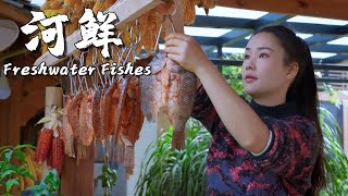 Freshwater Fishes Fresh Flavors from Streams in Yunnan Mountains【滇西小哥】 [upl. by Eidnyl84]