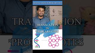 Translationprokaryotestamilnotesprotein synthesisdnamrnatrnadiagramprocessgene expression [upl. by Joellyn]