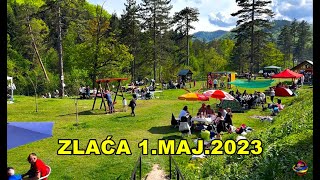 Docek 1Maja Zlaca Mackovac velike guzve 2023 [upl. by Chaiken981]