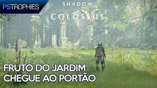 Shadow of the Colossus PS4  Fruto do Jardim  Chegue ao Portão 🏆 [upl. by Simmonds155]