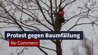 Protest gegen Baumfällung in Stötteritz  LZ TV No Comment [upl. by Aniryt]