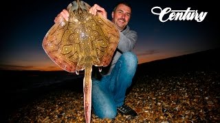 Chesil Beach Fishing  Undulate Ray [upl. by Juliann]