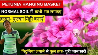 पिटुनिया हैंगिंग बास्केट भारी न हो बनायें ऐसी मिटटी  How to Grow Petunia in Hanging Basket amp Pots [upl. by Shelden]