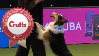 Heelwork To Music Competition Part 33  Crufts 2017 [upl. by Ecirtemed218]